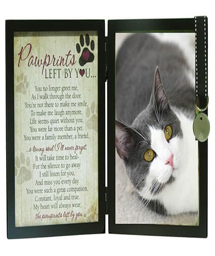 Pawprints Left by You Pet Picture Frame